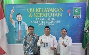 Calon Anggota Dpr Ri Pkb 2024